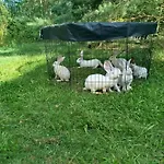 Skrzatka *