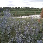 Skrzatka Kruki