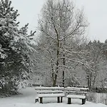 Skrzatka * Kruki