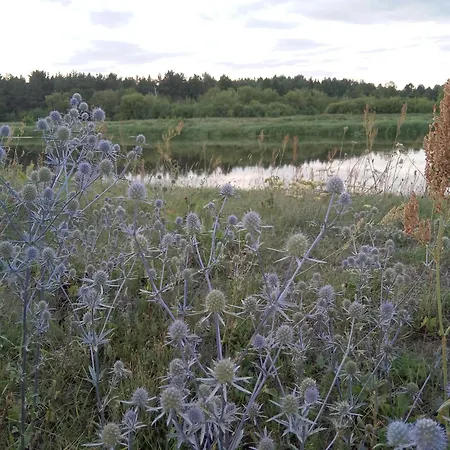 Skrzatka Kruki