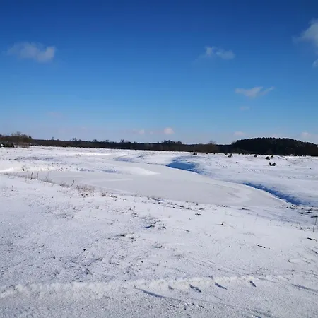 Skrzatka * Kruki